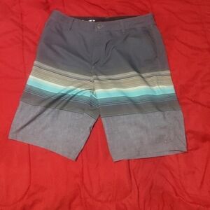 Oneill Striped Gray and Blue Shorts